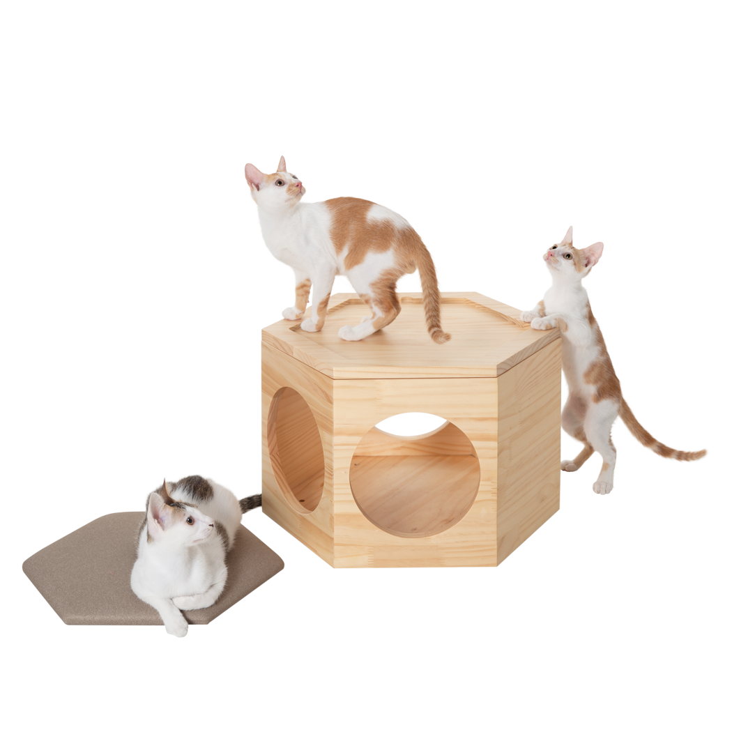 MYZOO マイズー 六角ハウス スツール ローテーブル キャットウォーク