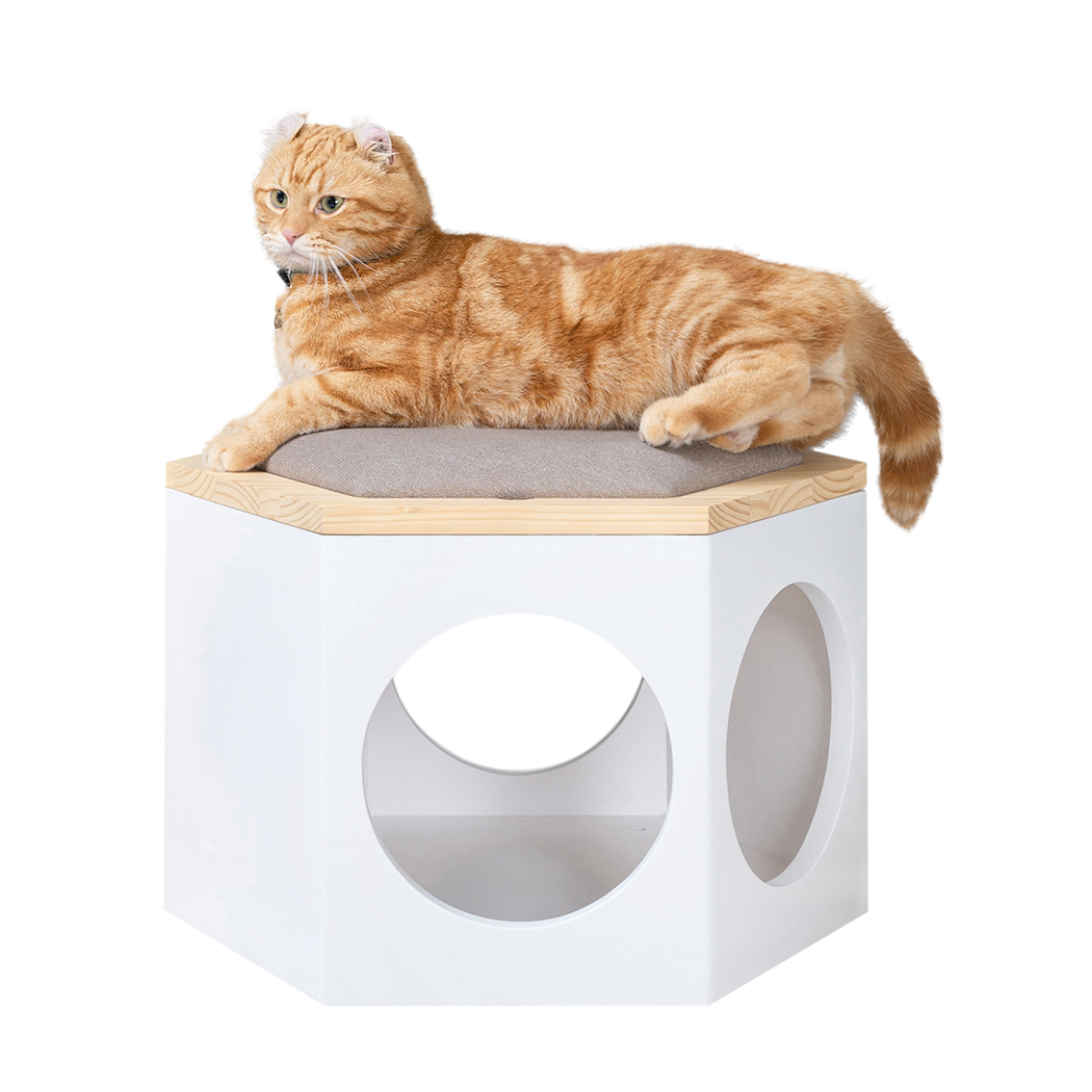 MYZOO マイズー 六角ハウス スツール ローテーブル キャットウォーク