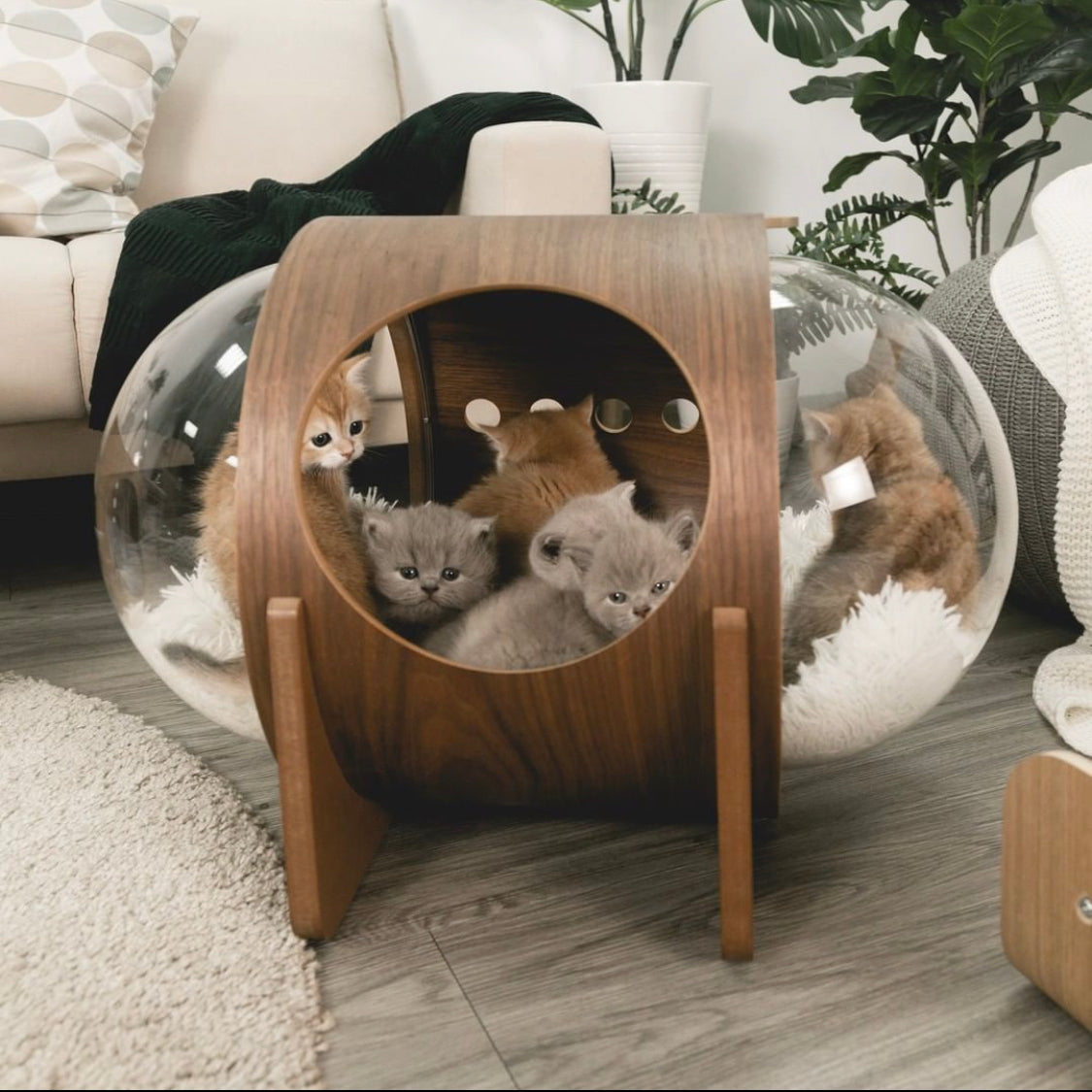 MYZOO マイズー 宇宙船ALPHA キャットハウス