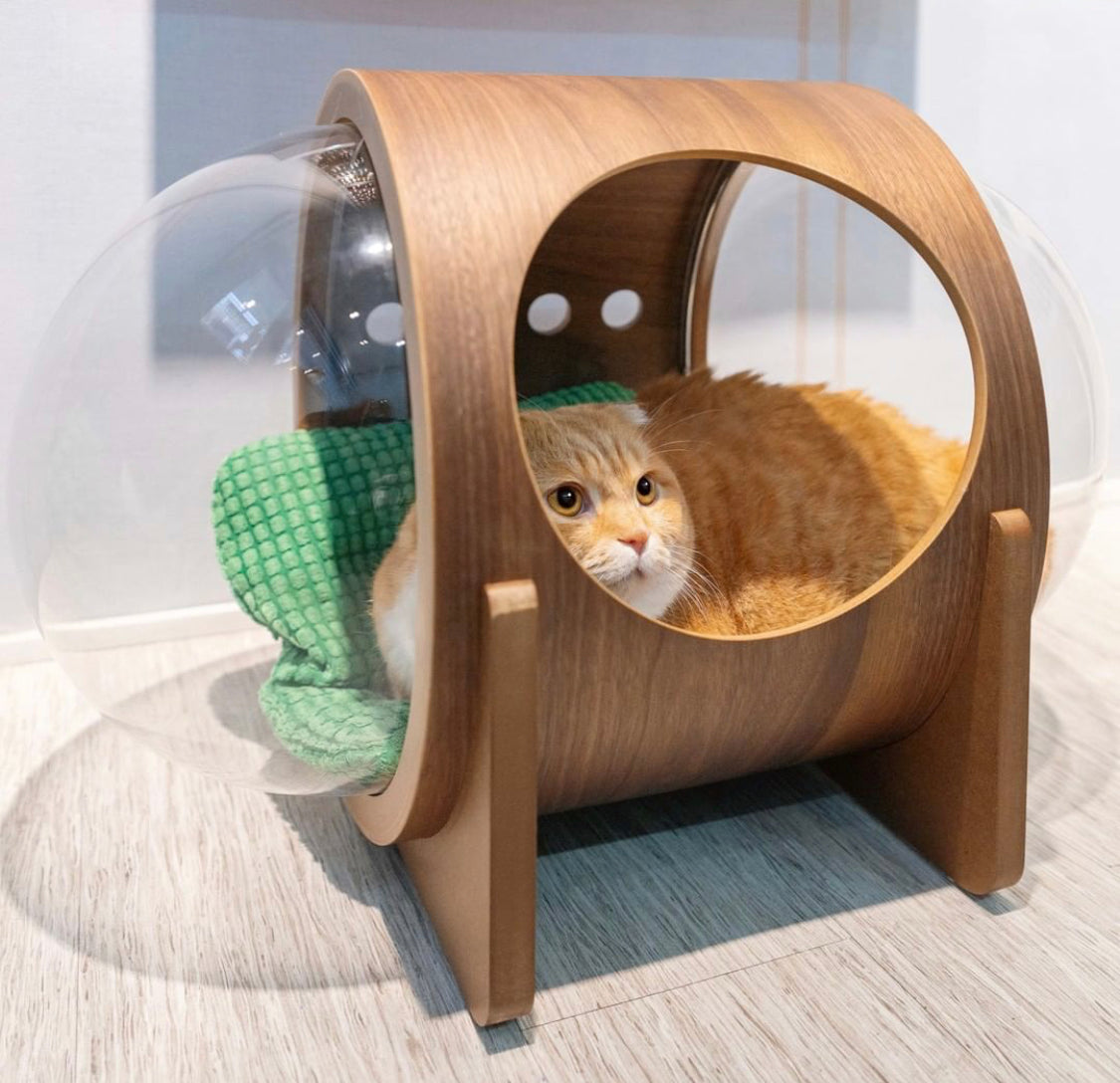 MYZOO マイズー 宇宙船ALPHA キャットハウス