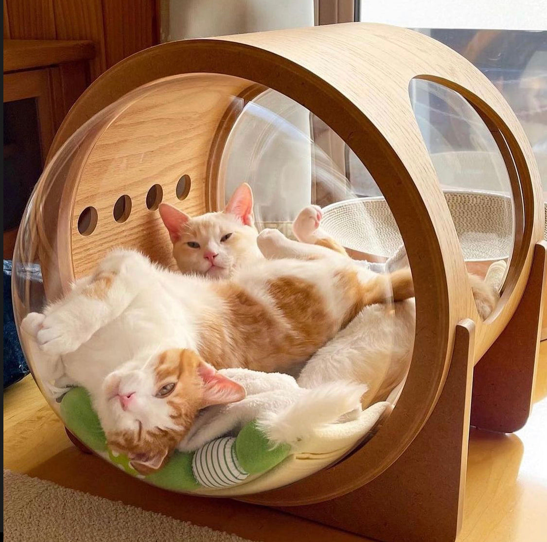 MYZOO マイズー 宇宙船ALPHA キャットハウス