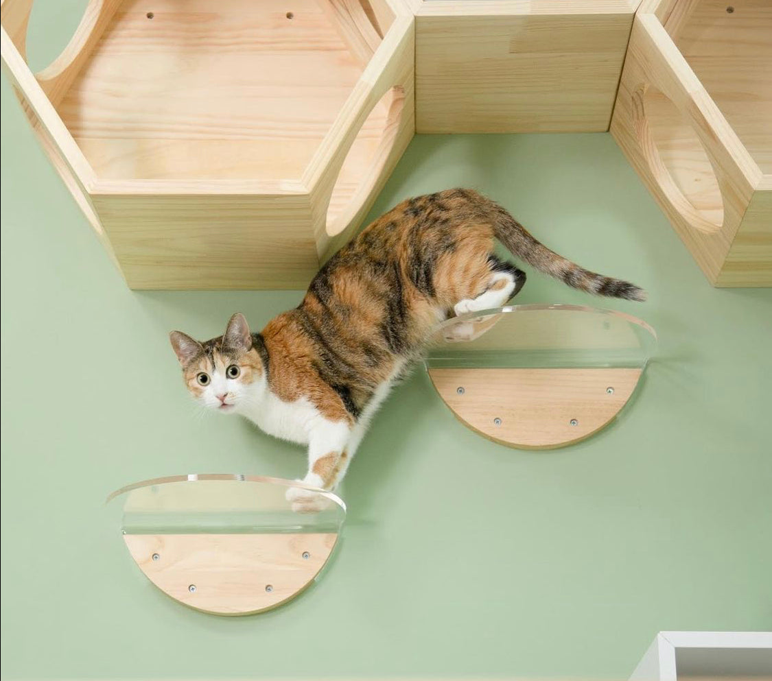 MYZOO マイズー ROUNDLACK CLEAR キャットステップ 透明 キャットウォーク