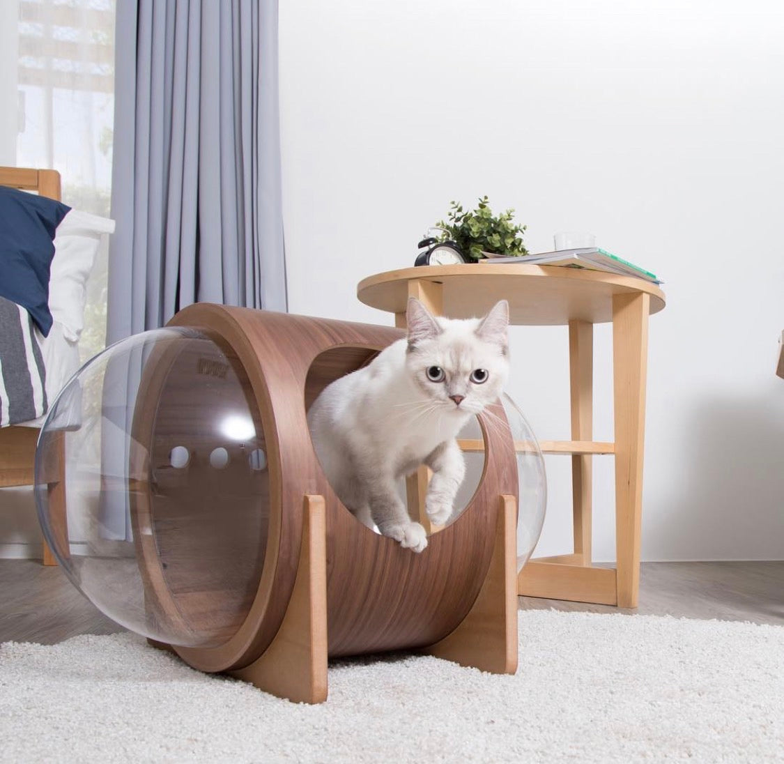 MYZOO マイズー 宇宙船ALPHA キャットハウス