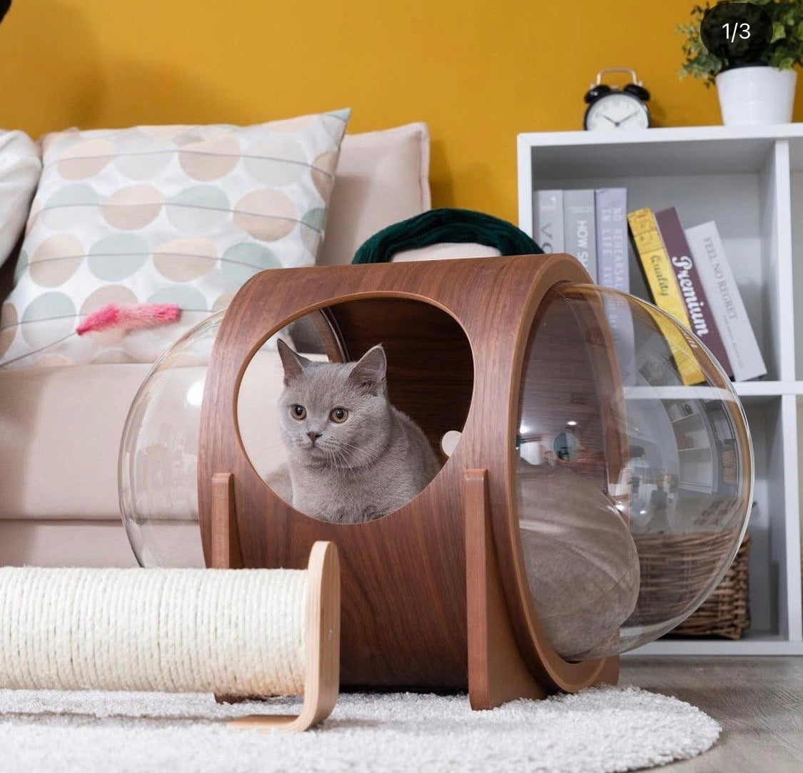 MYZOO マイズー 宇宙船ALPHA キャットハウス