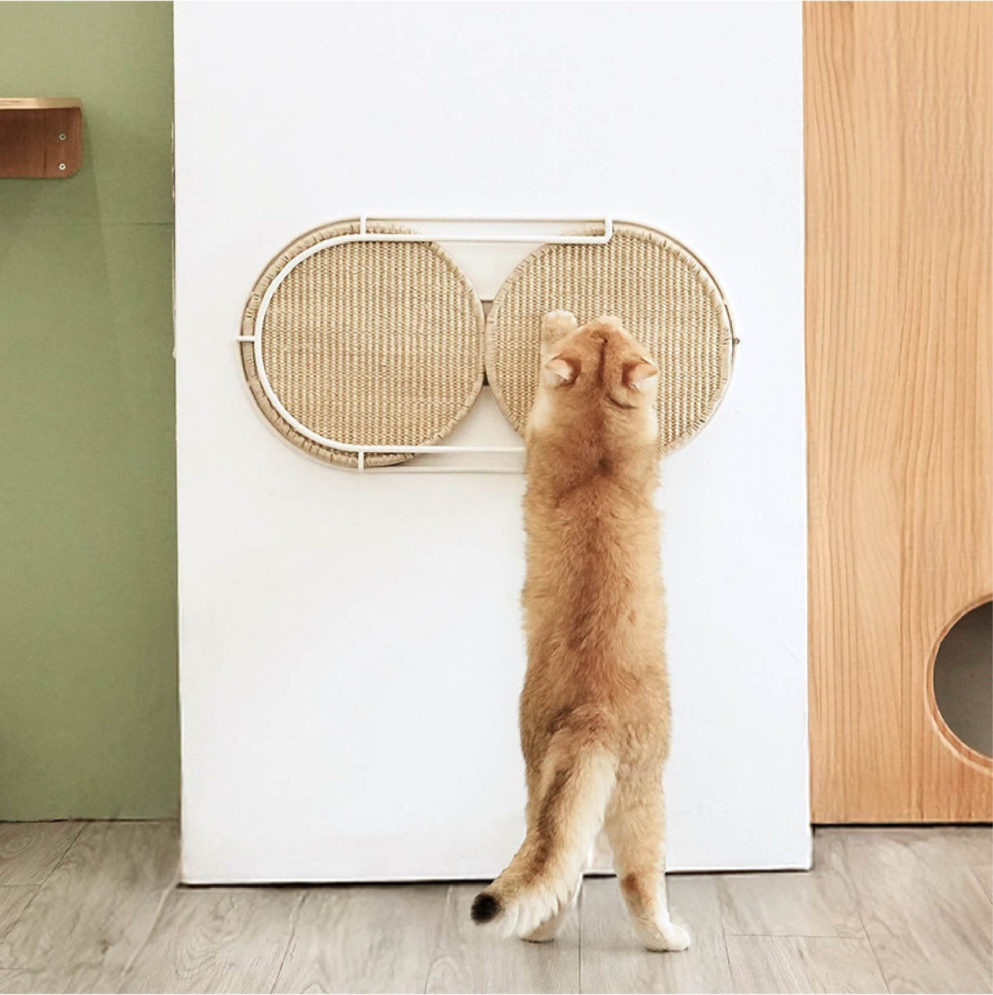 MYZOO マイズー MYZOO マイズー Locus 円形爪研ぎボード