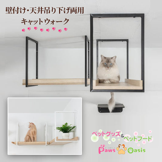 MYZOO マイズー キャットウォーク 壁 かわいい AVENUE アベニュー