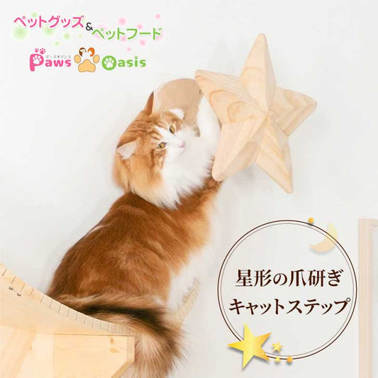 MYZOO マイズー STAR スター キャットウォーク