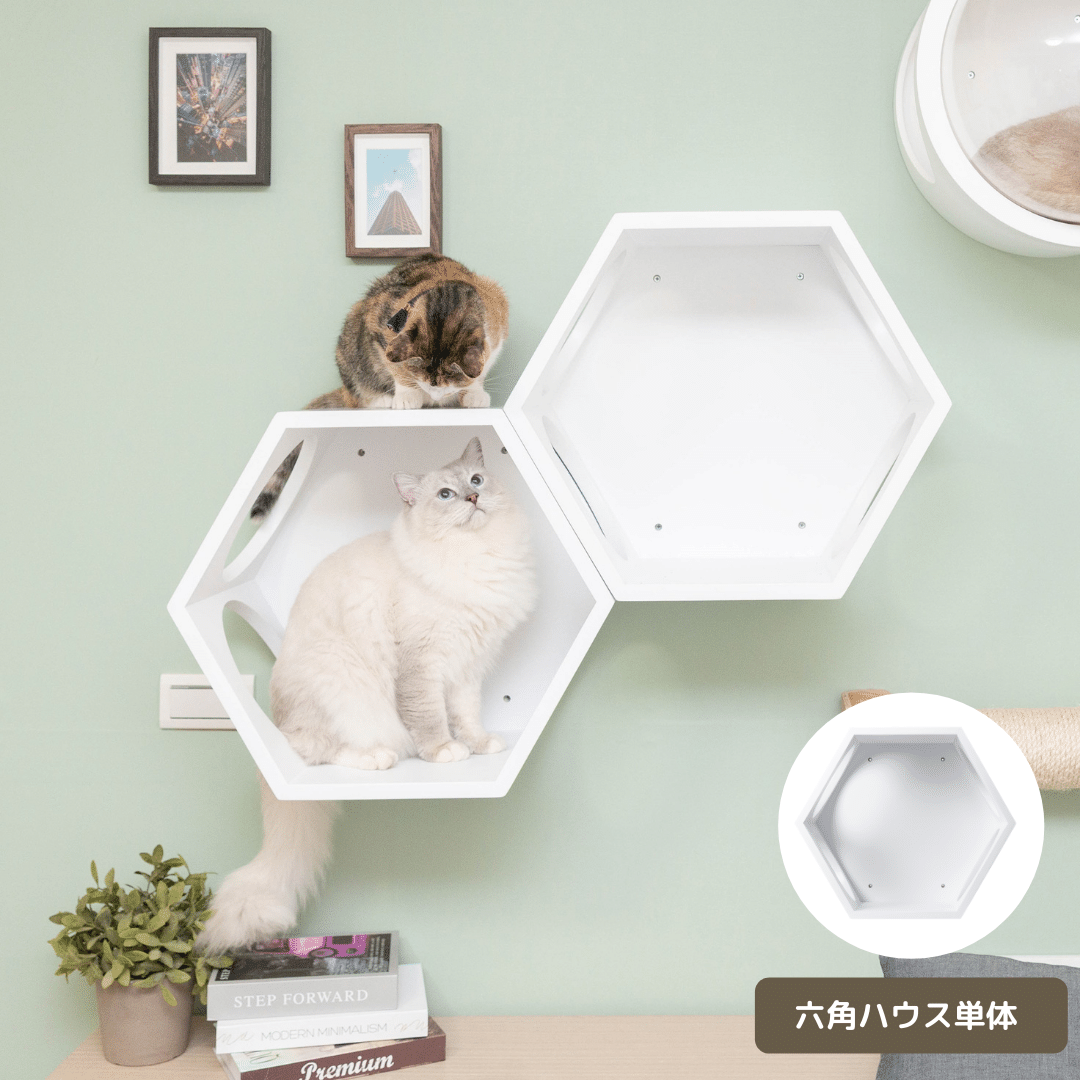 MYZOO マイズー 六角ハウス 天然木 隠れ家 猫 キャットウォーク　