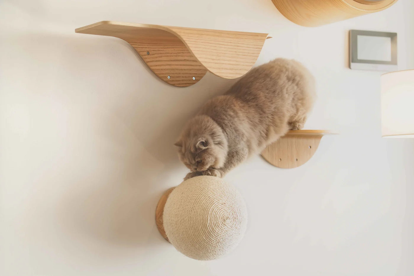 MYZOO マイズー Caturn 爪研ぎボール