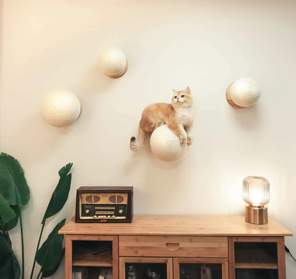 MYZOO マイズー Caturn 爪研ぎボール