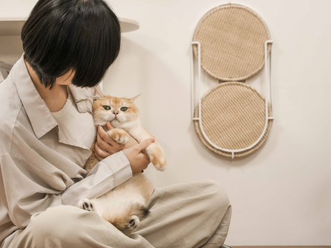 MYZOO マイズー MYZOO マイズー Locus 円形爪研ぎボード