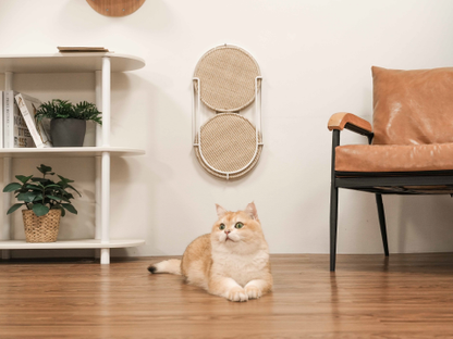 MYZOO マイズー MYZOO マイズー Locus 円形爪研ぎボード