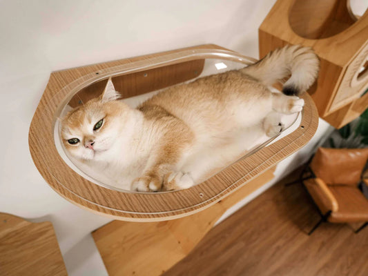 MYZOO マイズー Aura 星河キャットベッド