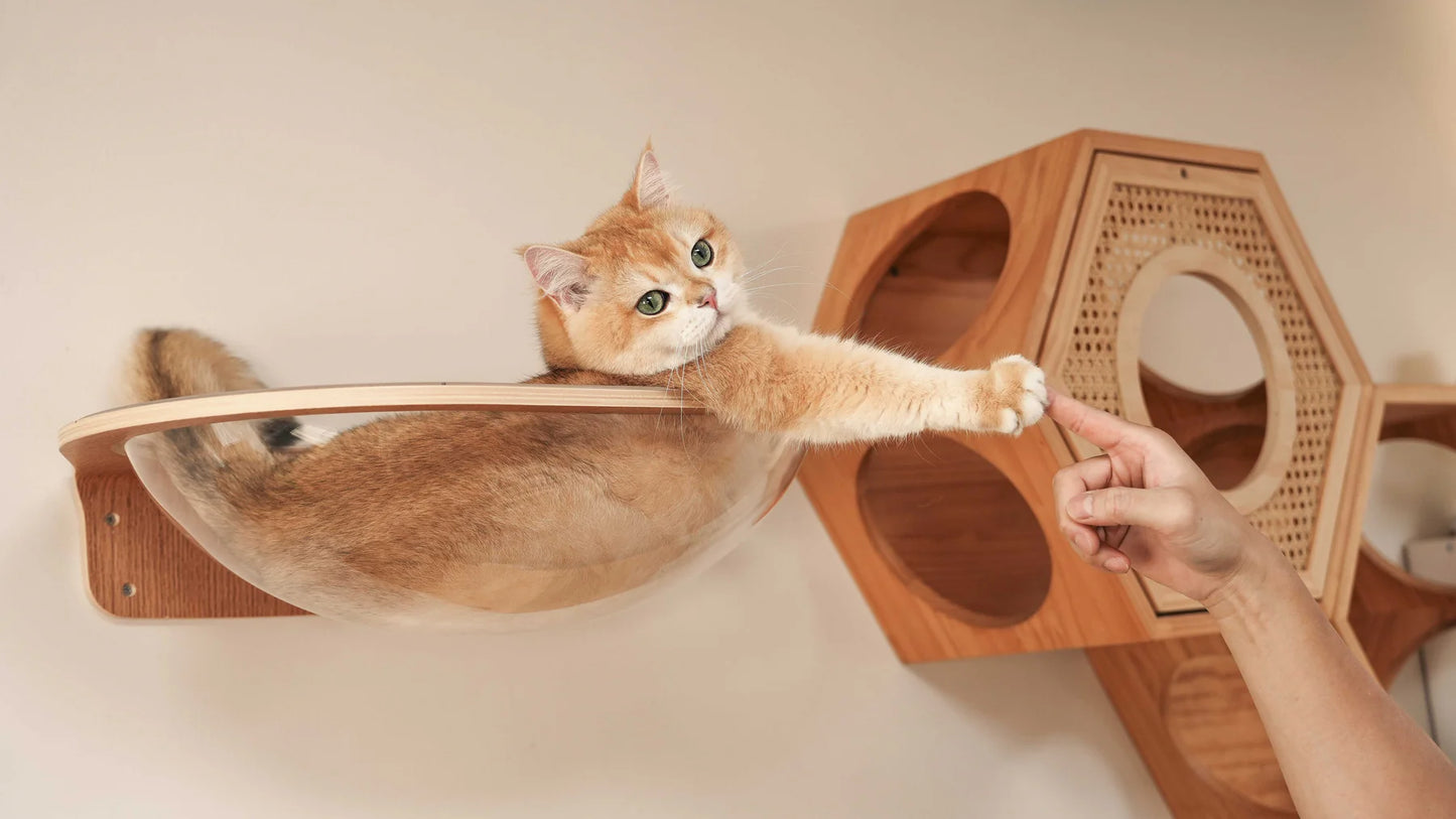 MYZOO マイズー Aura 星河キャットベッド