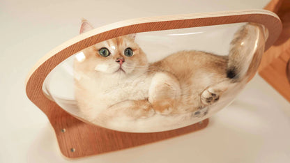 MYZOO マイズー Aura 星河キャットベッド