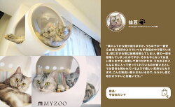 MYZOO マイズー キャットウォークセット 六角ハウス ホワイト+宇宙船GAMMAホワイト+CYLINDER キャットウォーク 壁