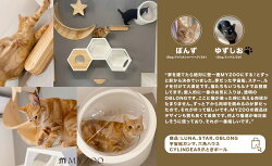 MYZOO マイズー キャットウォークセット 六角ハウス ホワイト+宇宙船GAMMAホワイト+CYLINDER キャットウォーク 壁