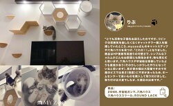 MYZOO マイズー キャットウォークセット 六角ハウス ホワイト+宇宙船GAMMAホワイト+CYLINDER キャットウォーク 壁