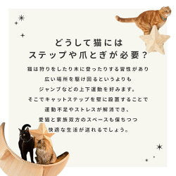 MYZOO マイズー キャットステップ おしゃれ LUNA ルナ