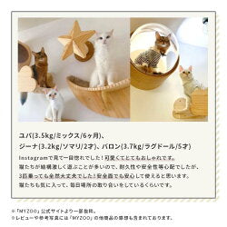 MYZOO マイズー LUNA+STAR セット キャットウォーク