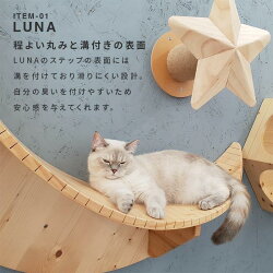 MYZOO マイズー LUNA+STAR セット キャットウォーク