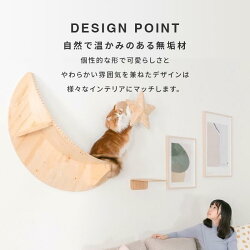 MYZOO マイズー LUNA+STAR セット キャットウォーク